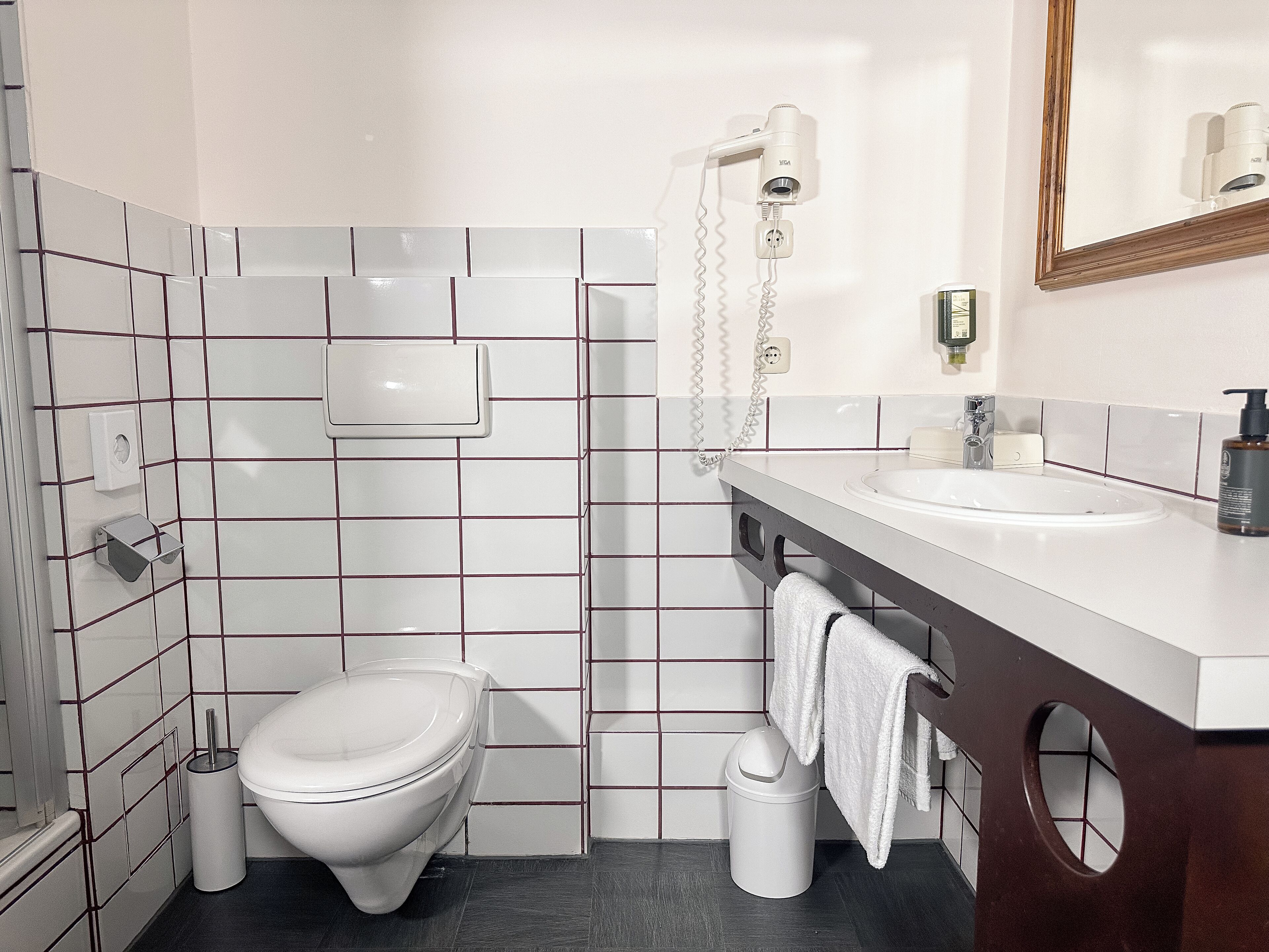 A bathroom with a toilet, sink, and hairdryer on the wall.