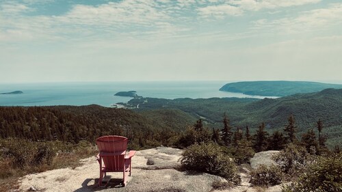 The Nest - Sydney, NS