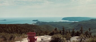 The Nest - Sydney, NS