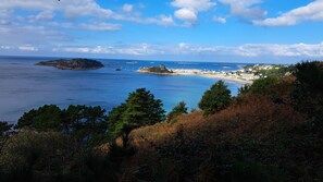 Niet-geclassificeerde afbeelding, 5 van 9, knop