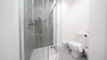 Douche, sèche-cheveux, serviettes fournies, papier toilette