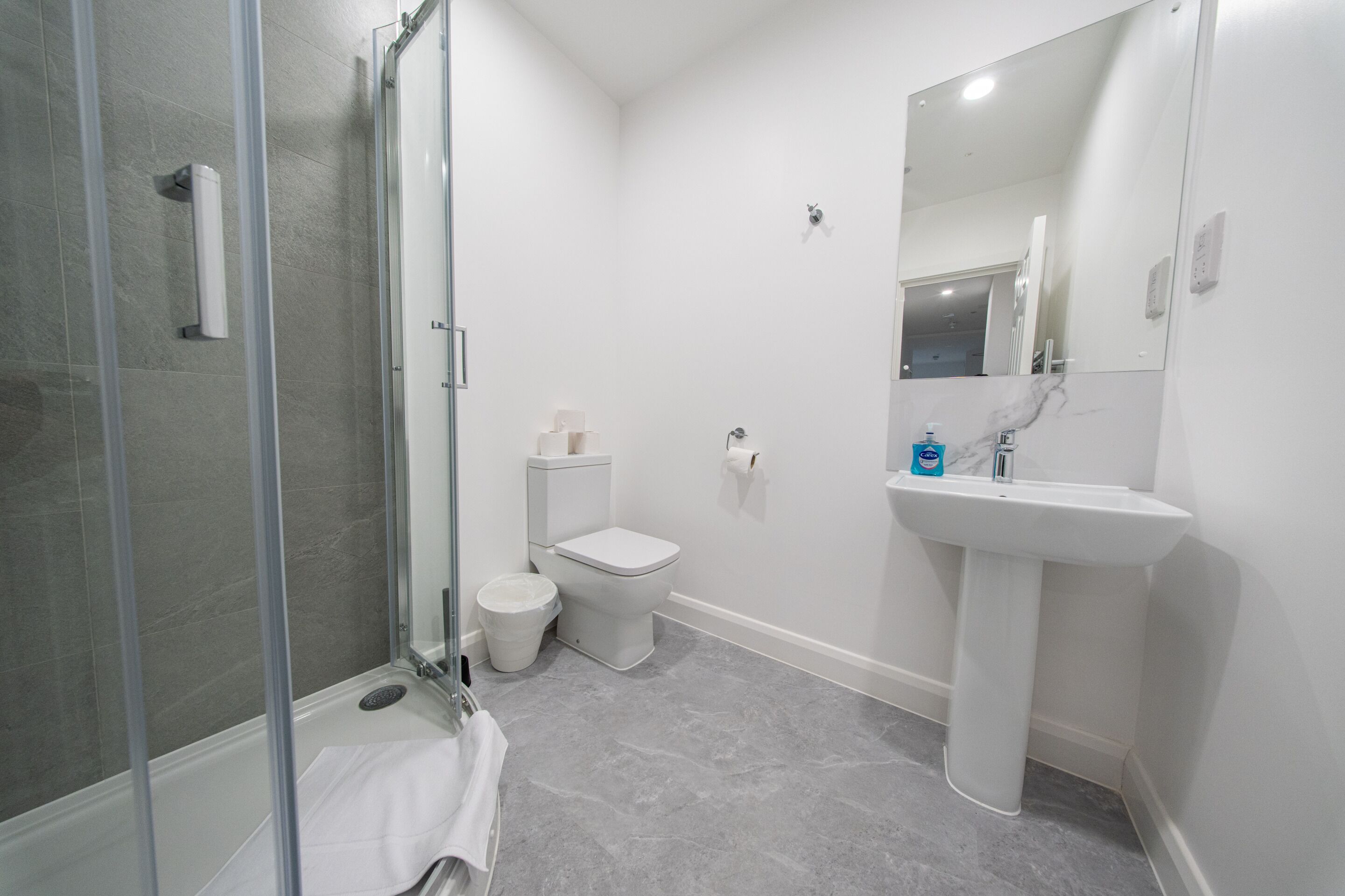 A bathroom with a glass shower enclosure, a toilet, a sink, and a mirror.