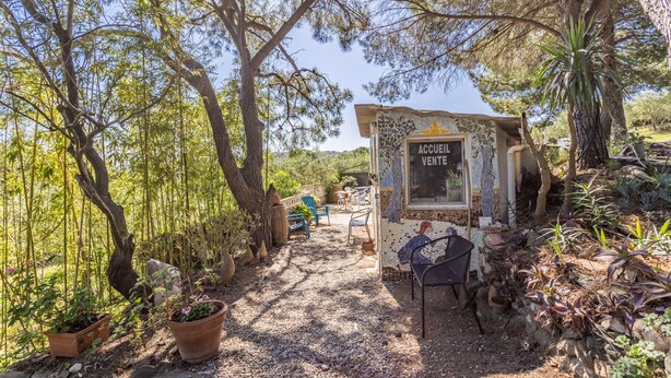 Un espace extérieur aménagé dans un style rustique, avec une petite structure portant l’inscription « ACCUEIL VENTE » et des plantes en pot.