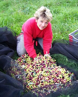 Unclassified image, 5 of 20, button - Unusual Gite at Mas Boutet (Argelès-sur-Mer)