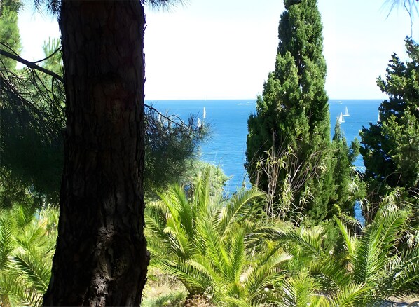 Unclassified image, 1 of 20, button - Unusual Gite at Mas Boutet (Argelès-sur-Mer)