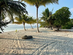 Strand, tengerpart