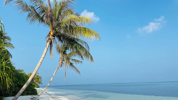A beach with clear turquoise water, white sand, and palm trees. - Ahiva Suites Goidhoo (Goidhoo)