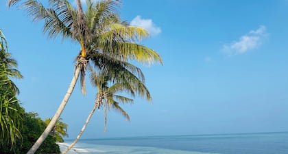 Ahiva Suites Goidhoo