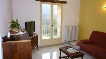 Télévision, cheminée, chaîne hi-fi