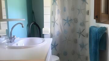 Shower, hair dryer, towels