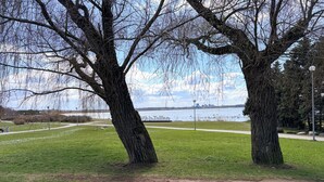 Un parque con dos árboles grandes, una zona de césped, un sendero y una vista distante de un cuerpo de agua con el perfil urbano de una ciudad.