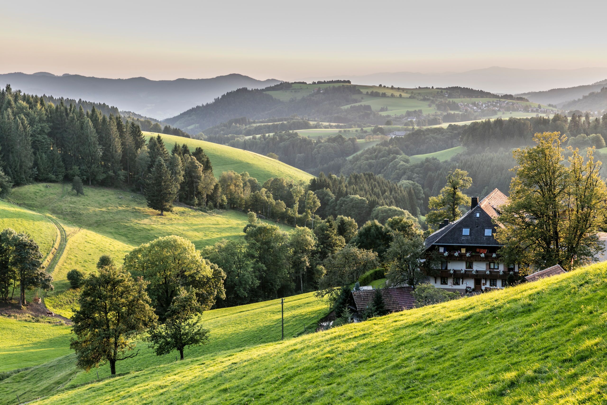 Un paysage rural avec des collines ondoyantes, une maison au toit en pente et un ciel dégagé.