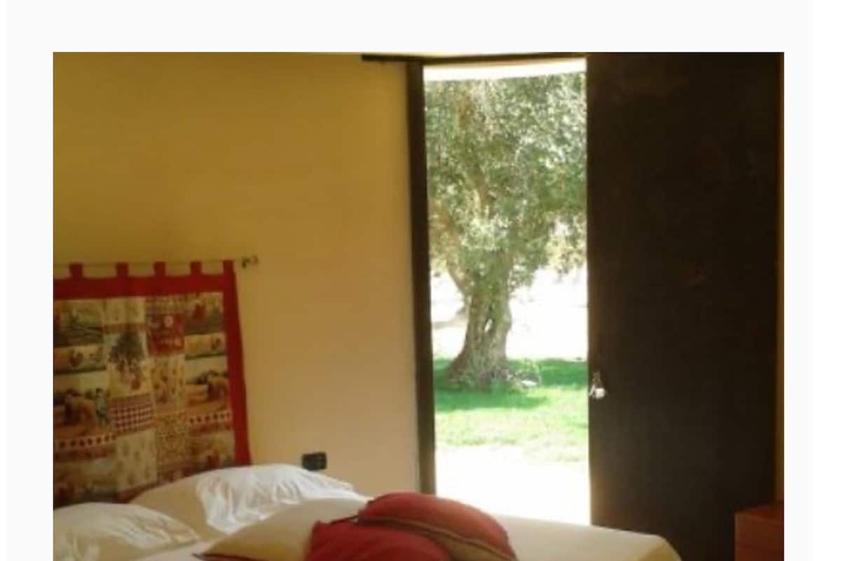 A bed with white and red pillows, a quilt, and a view of a tree through an open door.