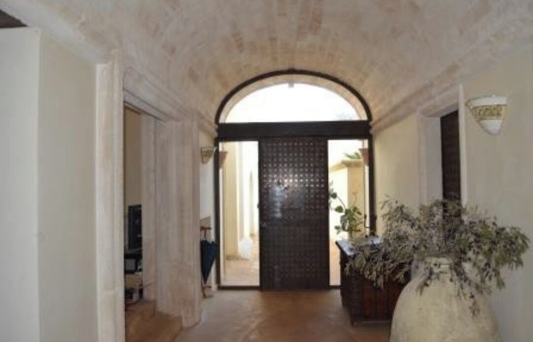 An arched hallway leading to a dark door with a textured pattern. A potted plant is visible on the right side.