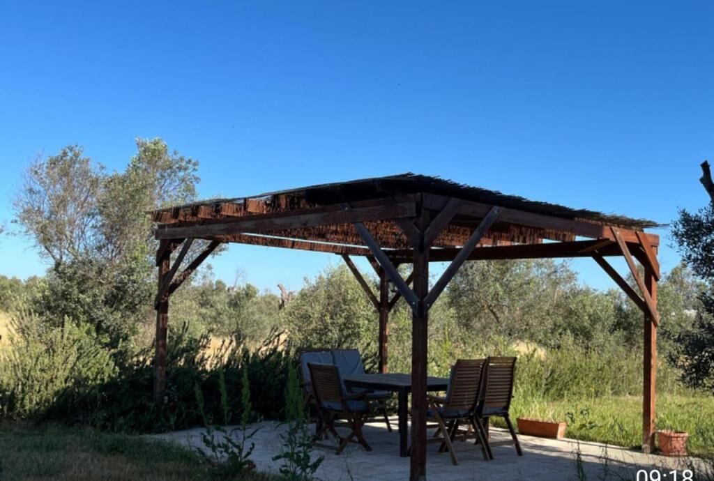 A wooden pergola with a table and chairs underneath, surrounded by greenery.