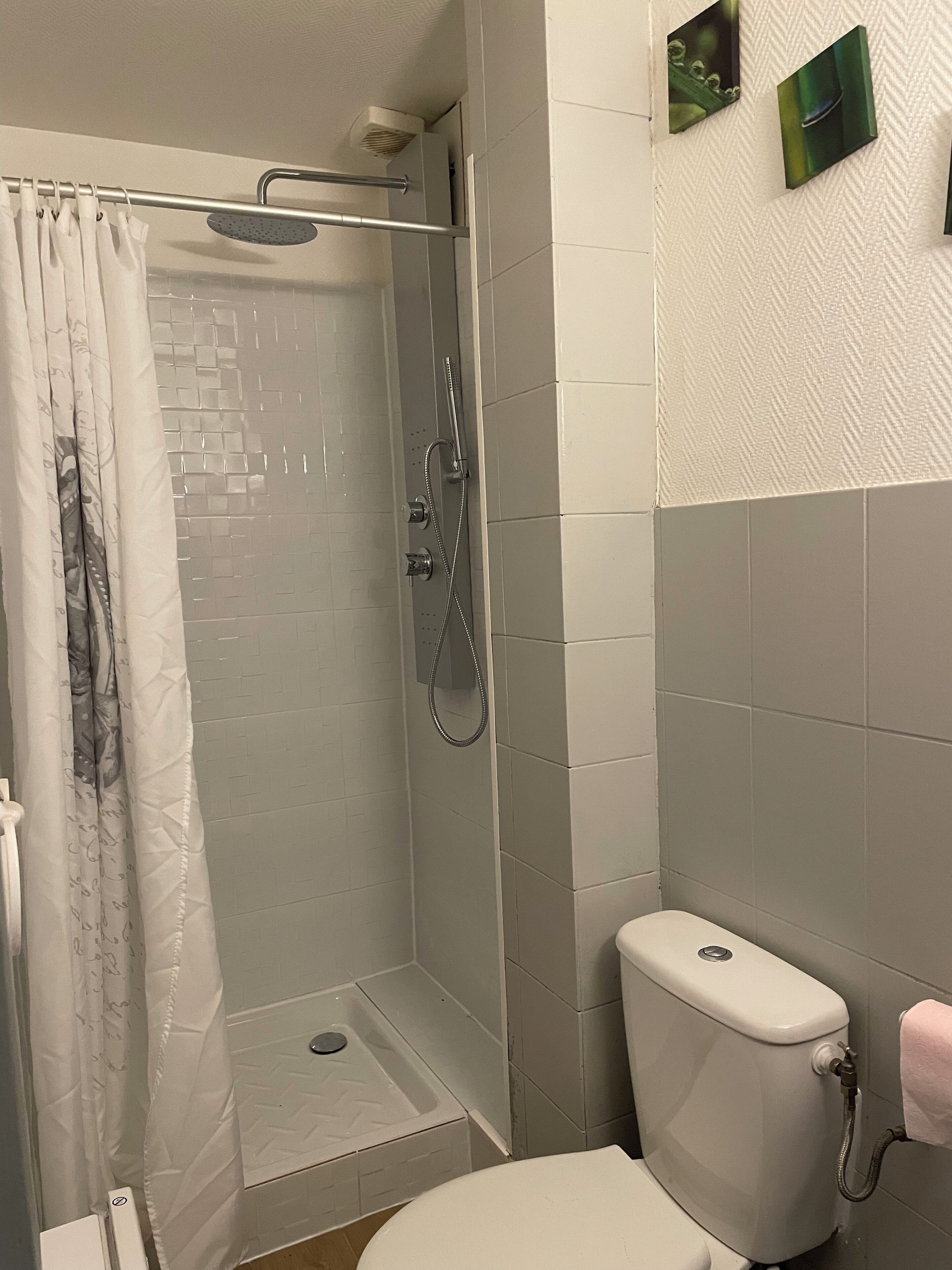 Shower, towels, toilet paper