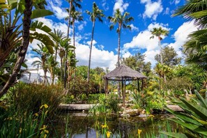 Immagine non classificata, 5 di 21, pulsante