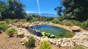 A serene garden with a pond, surrounded by rocks and various plants, and a mountain range in the background. - Private home with exquisite mountain views in Cape Winelands (Cape Town)
