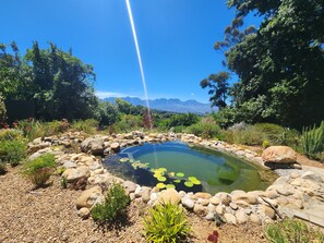 Pool - Private home with exquisite mountain views in Cape Winelands (Cape Town)