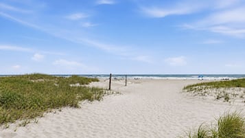 On the beach