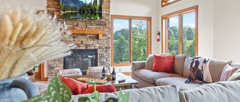 Smart TV, fireplace, video games, books