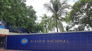 A blue wall with the text "ACUARIO NACIONAL" and a logo.