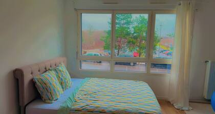 Studio lumineux entre Paris et Disneyland