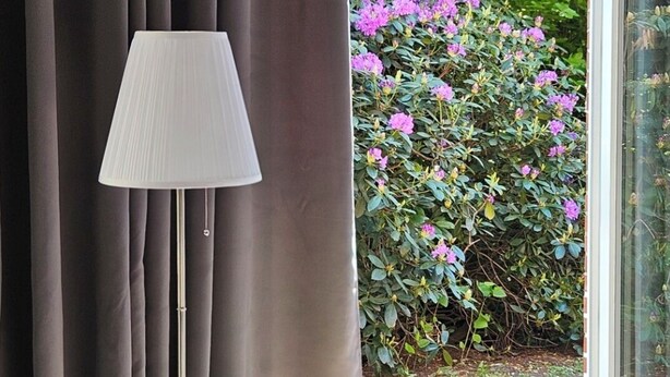 Habitació amb una làmpada de peu, cortines i una planta en test proper a una porta corredissa de vidre que dona a un jardí amb flors roses.