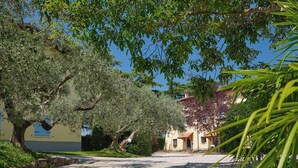 Una strada acciottolata fiancheggiata da alberi e edifici.