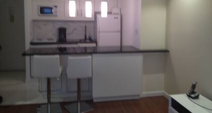 renovated 1 bedroom 1 bath fully furnished apartment in luxury doorman building