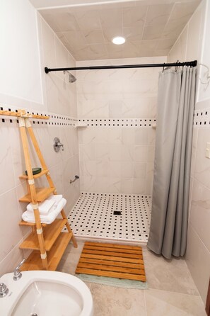 Shower, hair dryer, bidet, towels