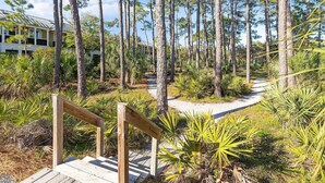 Una passerella in legno che si inoltra in una zona boschiva, caratterizzata da alberi alti e vegetazione tropicale.