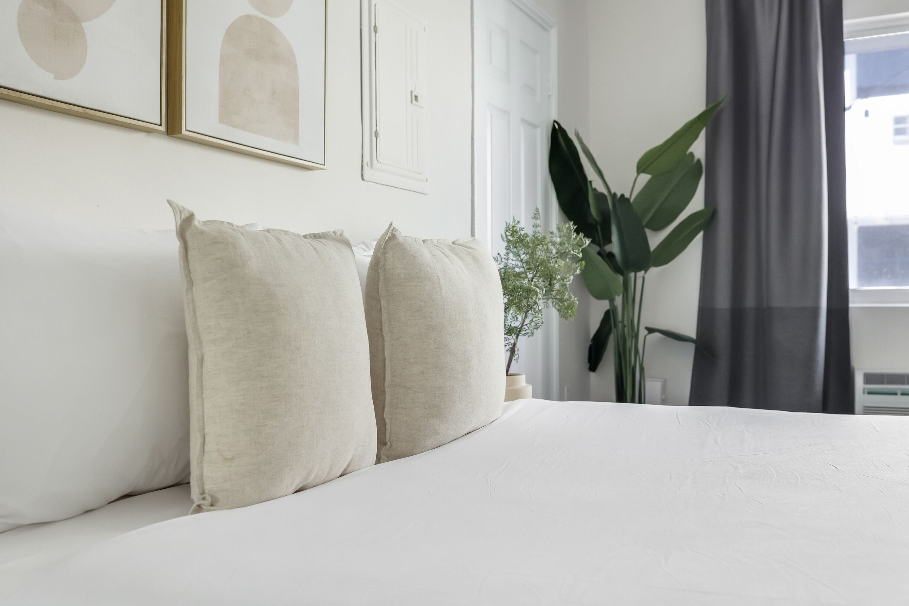 Una cama bien hecha con ropa blanca, una planta verde grande y cuadros en la pared.