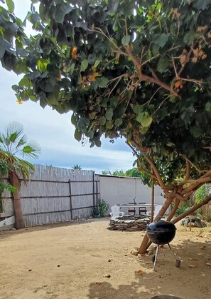 Property grounds - Charming Private Cottage in Tranquil San Pedrito, El Pescadero- 2 Blocks to Surf (El Pescadero)