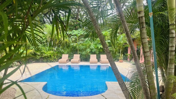 Une piscine entourée de chaises longues et de plantes tropicales.