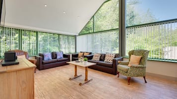 TV, DVD player, books