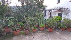 Property grounds - Casa Alma - Studio House, Sleeps 2 (Sas Murtas)