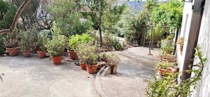 Ein Innenhof mit Topfpflanzen und Blick auf die umliegende Landschaft.
