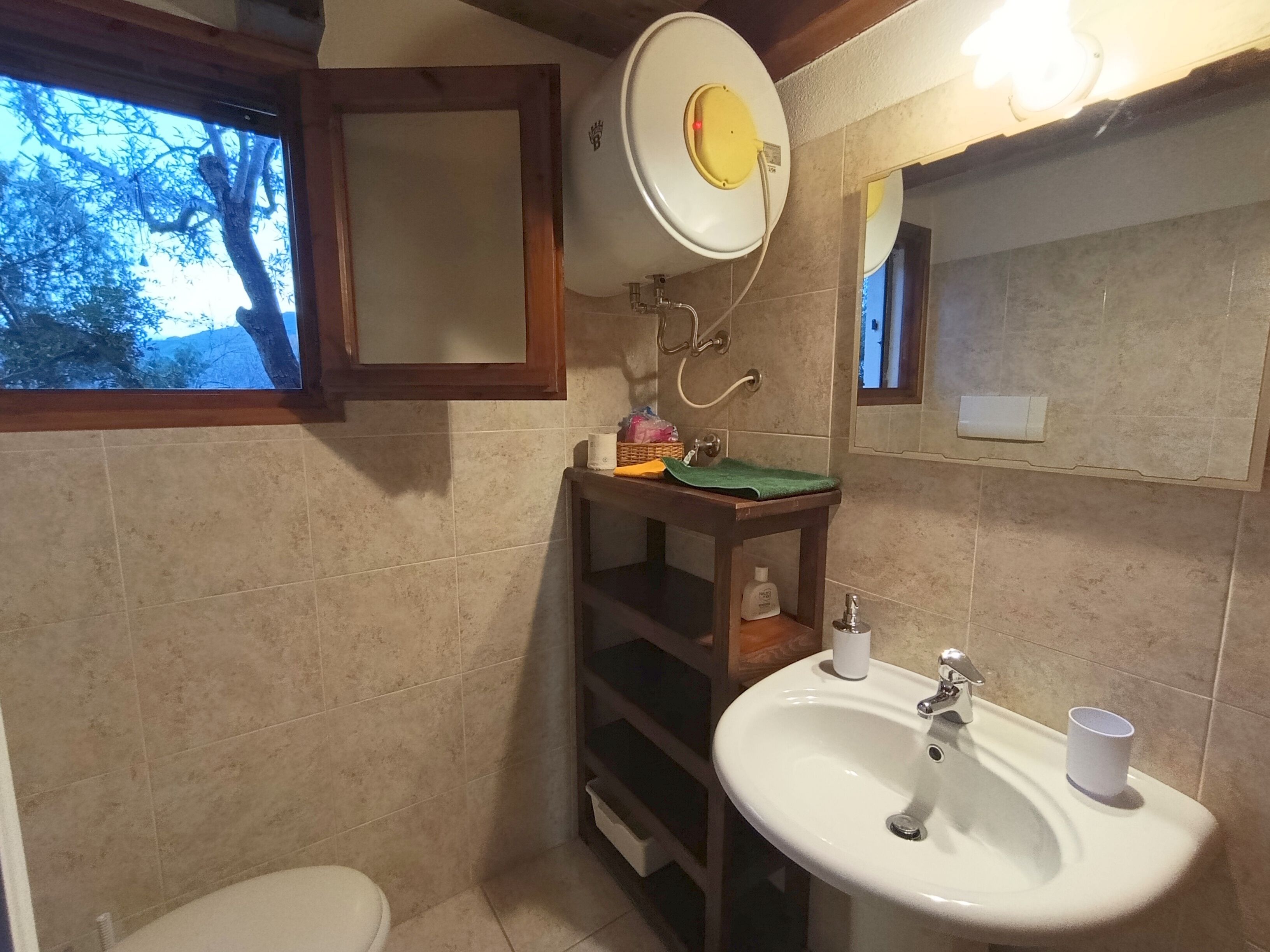 Een badkamer met toilet, wastafel, spiegel en raam met uitzicht op bomen.