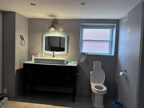 Shower, hair dryer, bidet, towels