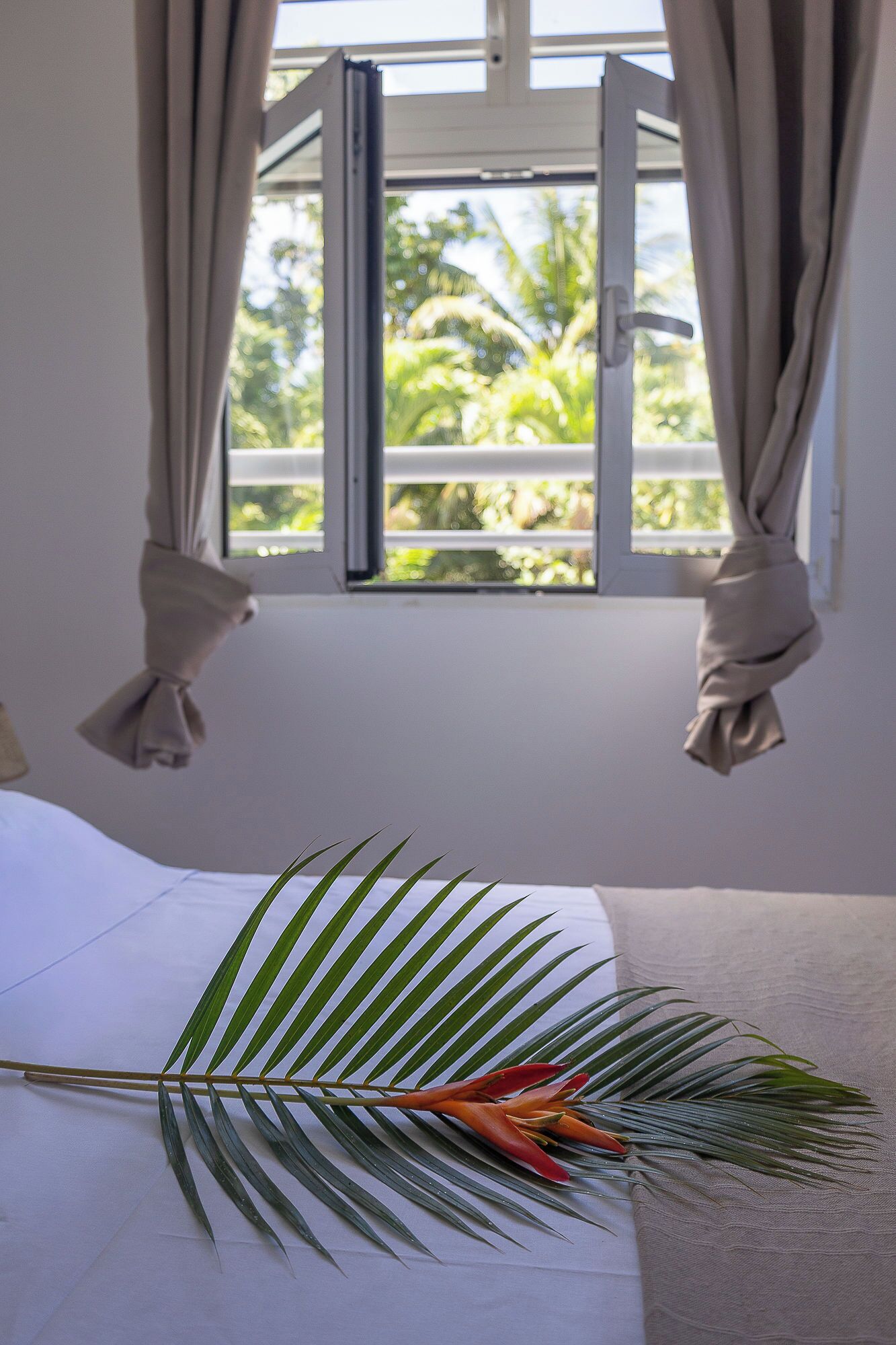 Une chambre avec un lit, une fenêtre avec des rideaux et une plante sur le lit.