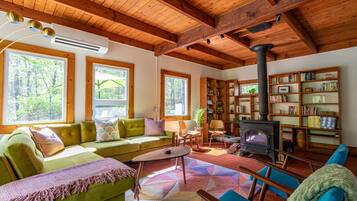 Smart TV, fireplace, books