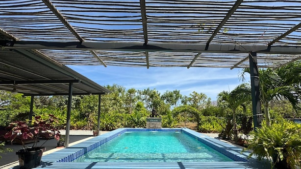 Uma piscina retangular com borda azulejada, rodeada por vegetação exuberante e uma área coberta com telhado metálico.