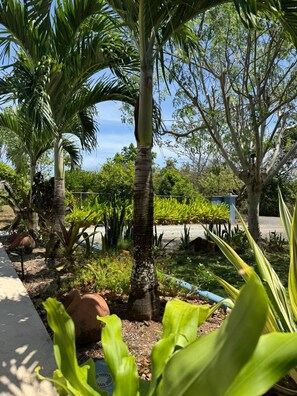Property grounds - Inn at Punta Mala (Punta Mala)