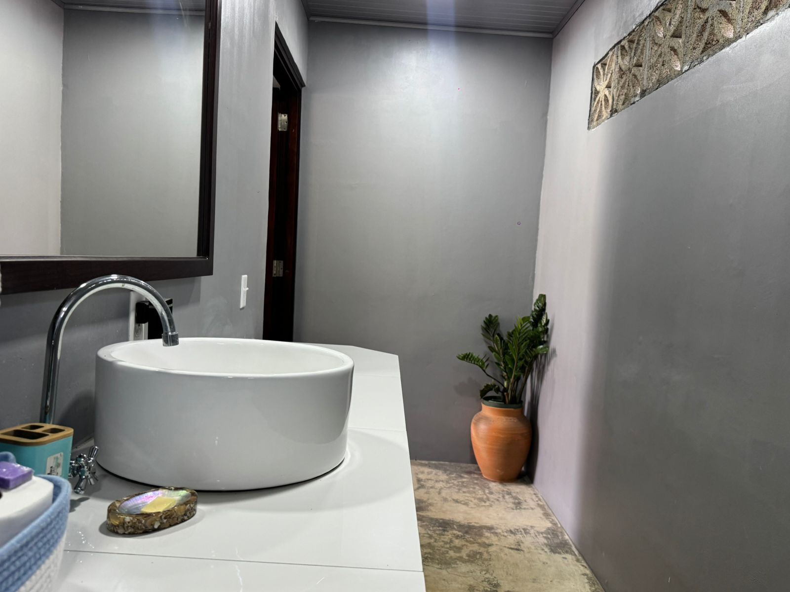 Une salle de bain avec un grand lavabo blanc, un miroir et une plante en pot.