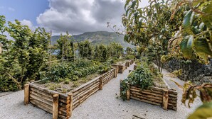 A garden with raised beds and a gravel path. - Casa Luisa Boutique Stay with Vegetable Garden and Sea View (Forio)