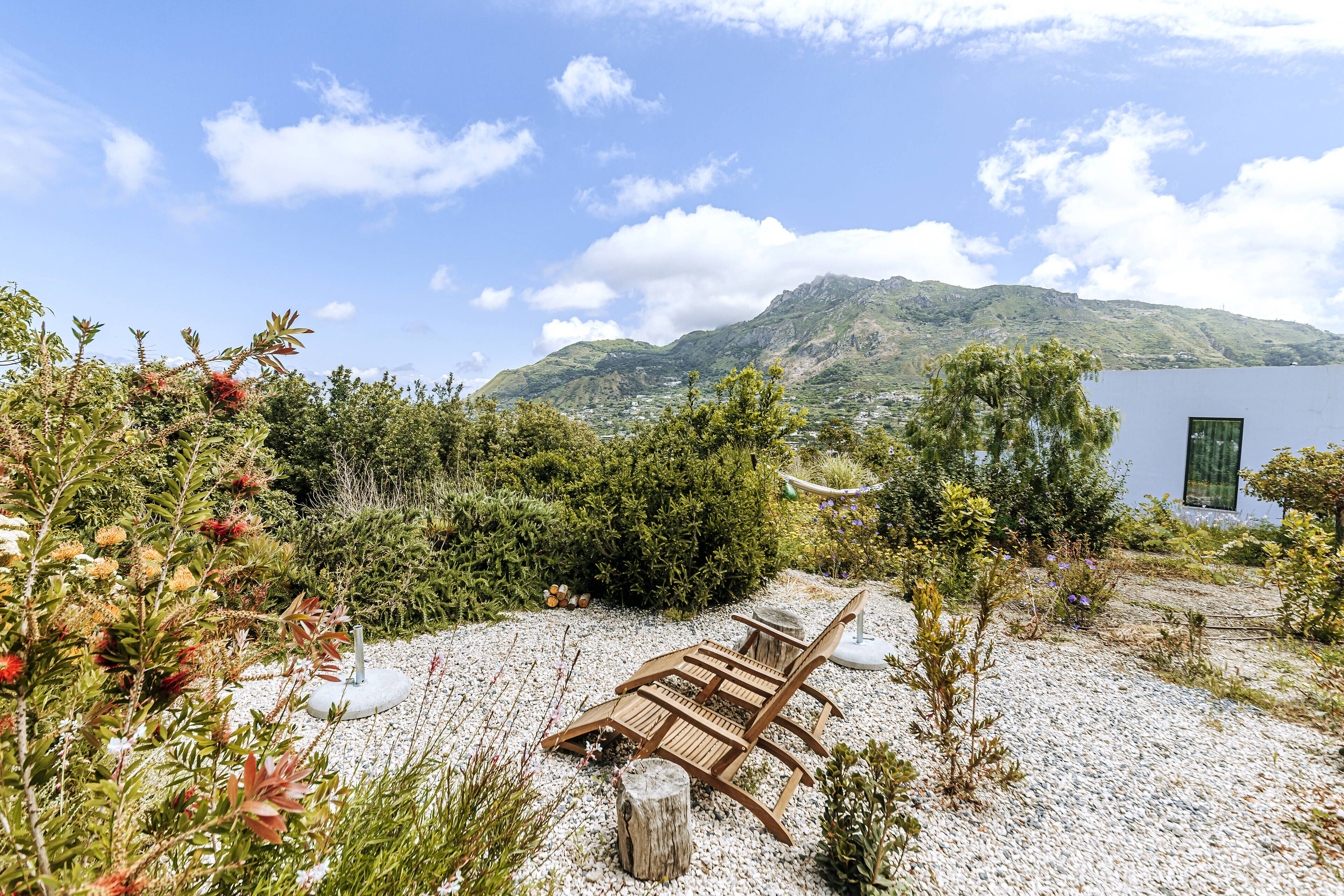 Un jardín con una silla de madera y una mesa, rodeado de plantas diversas y una montaña al fondo.
