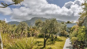 A garden with a stone pathway, trees, and a mountain in the background.