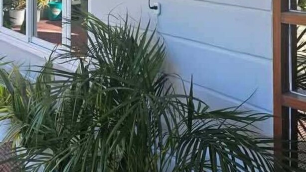 Un letrero que dice 'Meek's Villas Tranquil House' con una placa de número debajo.