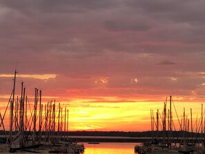 Marina - THE ORIENTAL FOREST REFUGE (Géraudot)